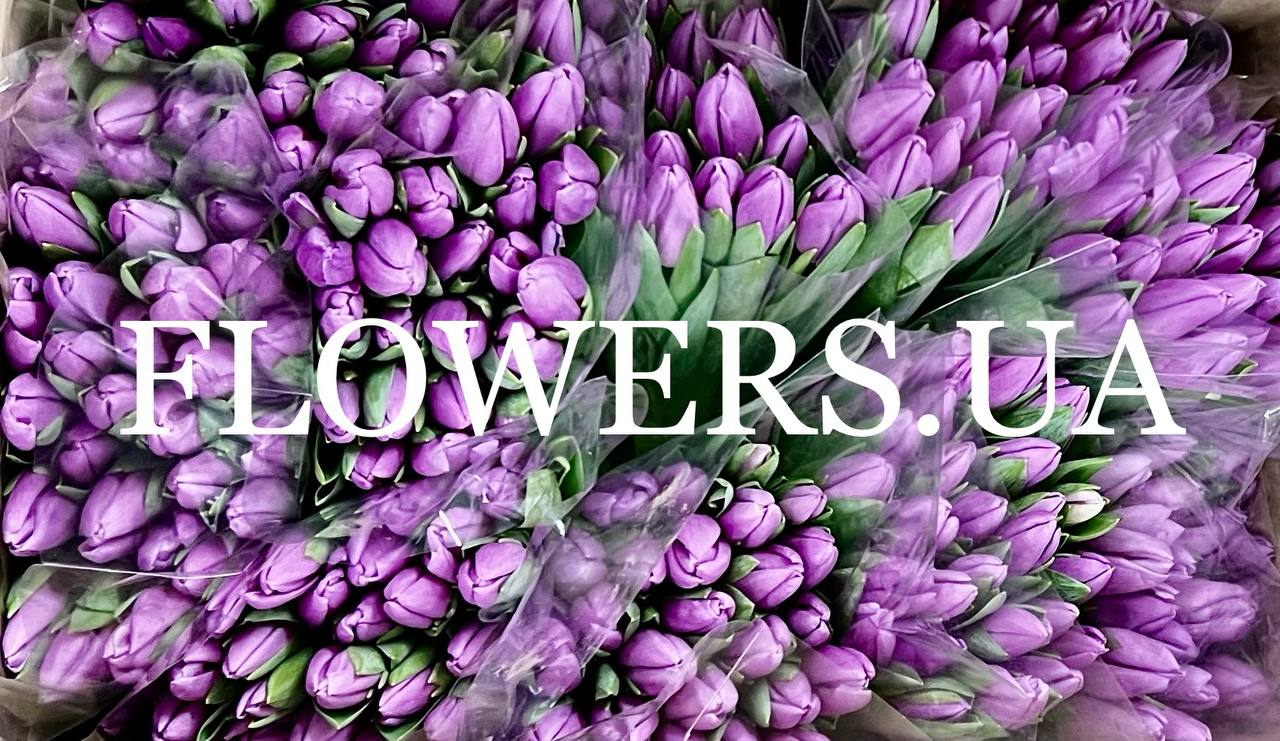 Flowers.ua доставка квітів