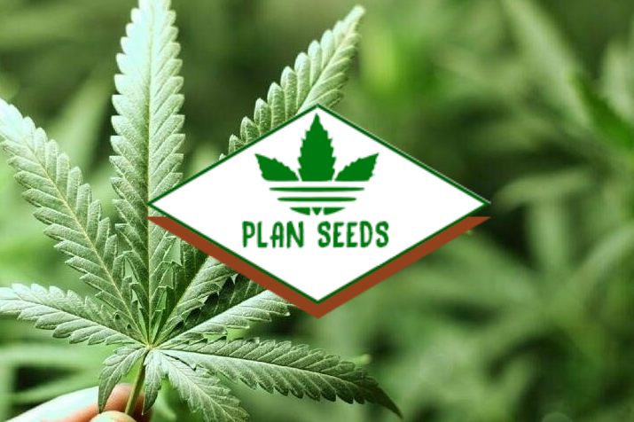 Магазин насіння Plan Seeds