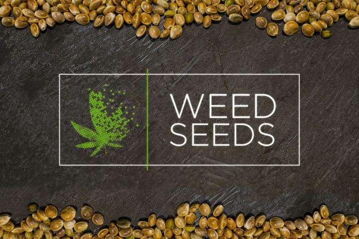 Weed Seeds